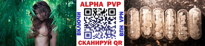 kraken рабочий сайт  Шумерля  Alfa_PVP VHQ  где можно купить  