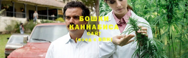 PSILOCYBIN Абаза