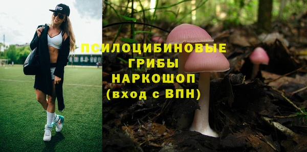 крисы Алексеевка