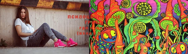 PSILOCYBIN Абаза