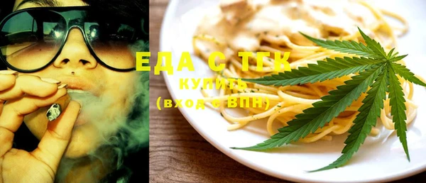 индика Каменка