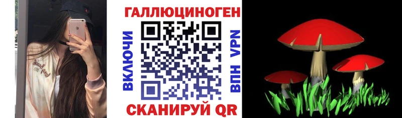 купить наркоту  Шумерля  Псилоцибиновые грибы прущие грибы 